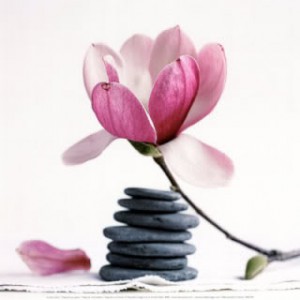 Acupuncture in Ireland